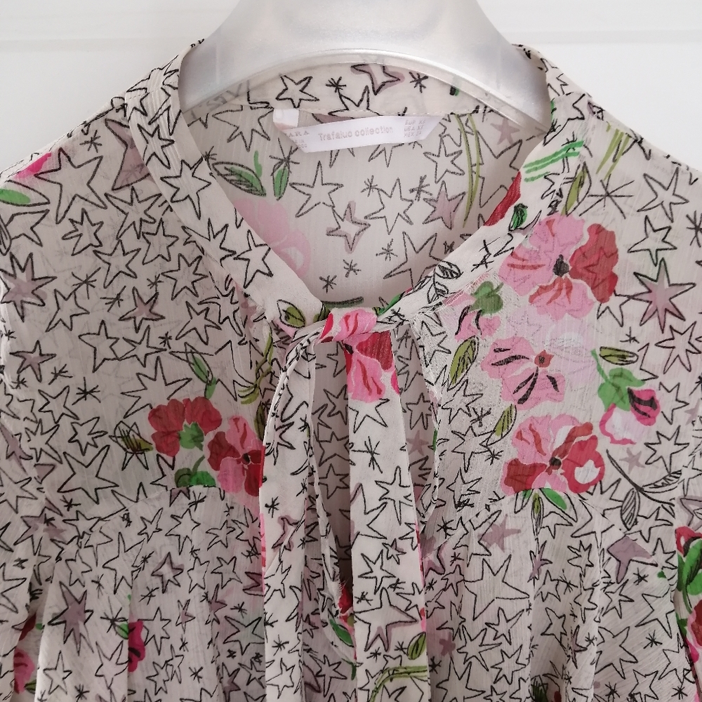 Zara Ruffled Sheer Blouse - Picture 4 of 8